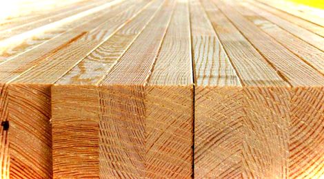 Лучшие породы древесины для строительства